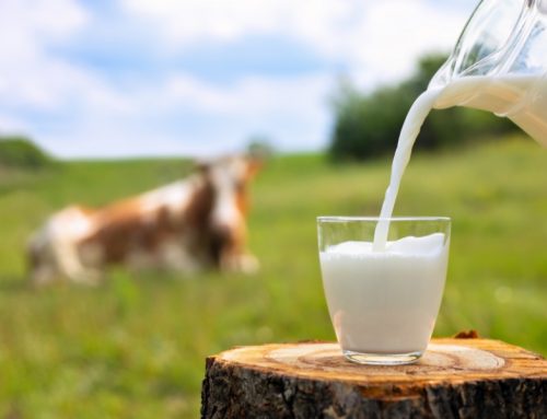 Laptele – Totul despre Secretele si Beneficiile Lui
