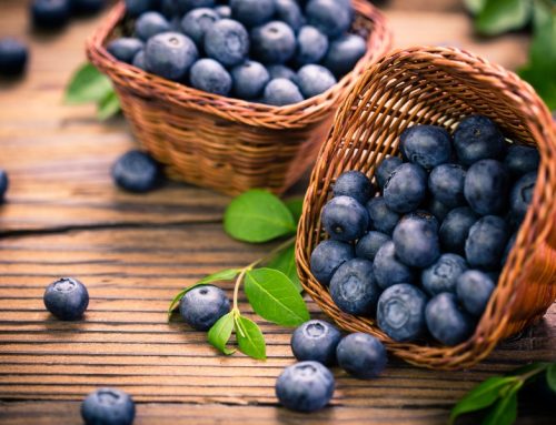 Afine: Fructul Mic si Albastru Perfect  pentru Sănătate